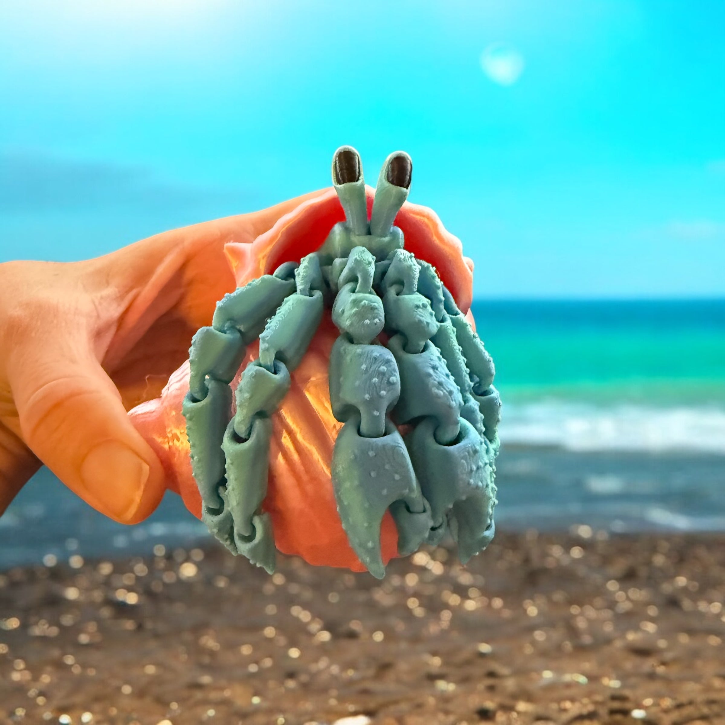 3D Fidget Toy Hermit Crab | Stress-Relieving Interactive Desk Buddy