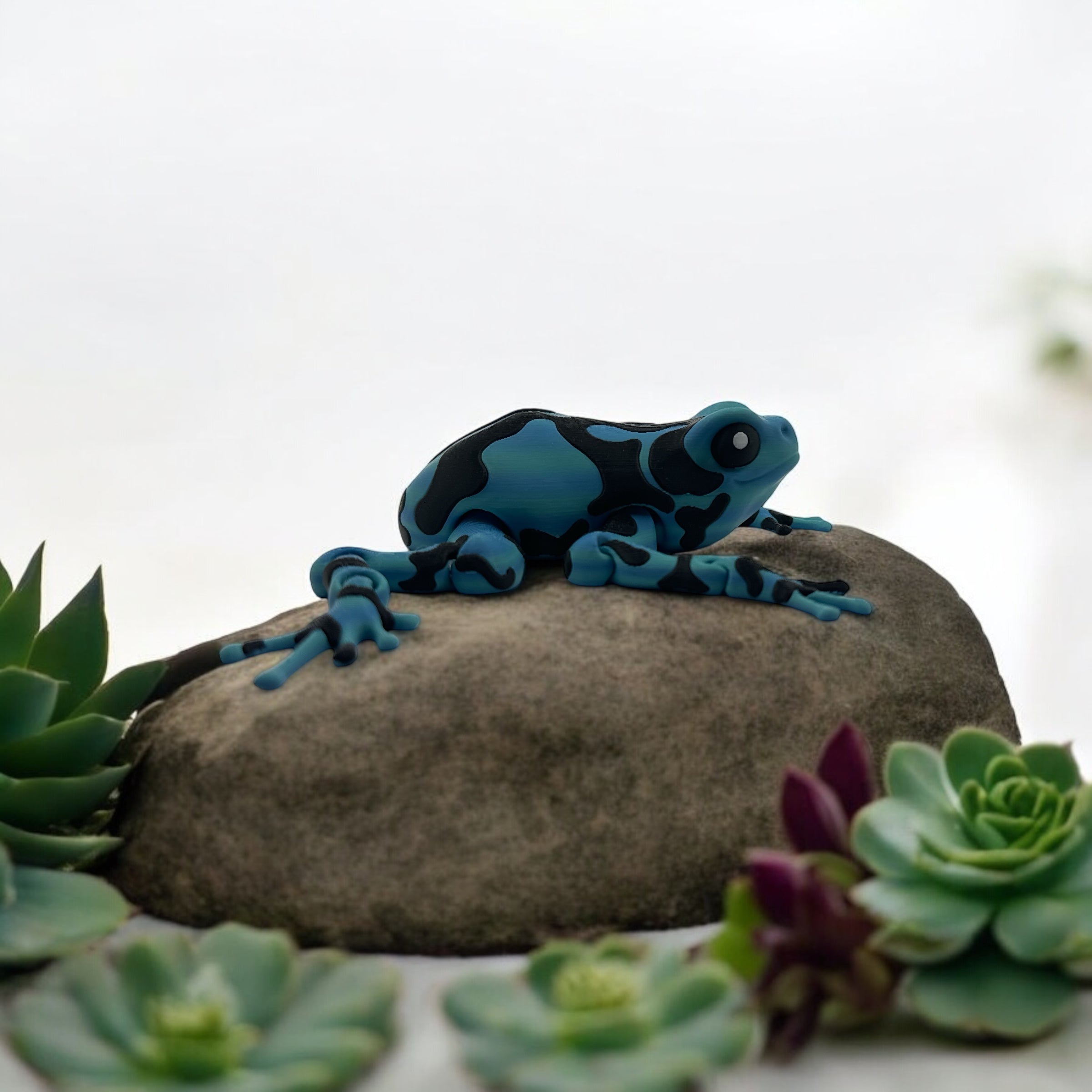 3D Poison Dart Frog Toy