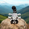 3D Print Silver Racoon Figurine